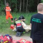 zdjęcie nr 26