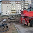 Fotka nr 2 z 20