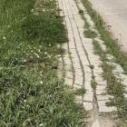 zdjęcie nr 12
