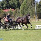 zdjęcie nr 35