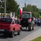 zdjęcie nr 38