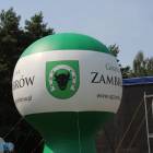 zdjęcie nr 10