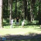 zdjęcie nr 81