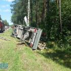 zdjęcie nr 7
