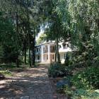zdjęcie nr 41