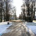 zdjęcie nr 18