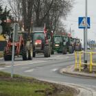 zdjęcie nr 83
