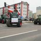 zdjęcie nr 49