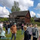 Fotka nr 5 z 9