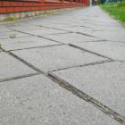 zdjęcie nr 8