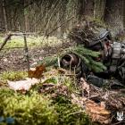Fotka nr 1 z 2