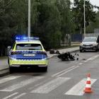 Fotka nr 3 z 8