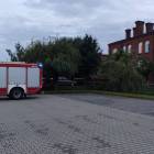 zdjęcie nr 7