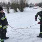 zdjęcie nr 12