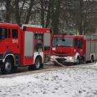 Fotka nr 3 z 16