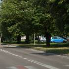 zdjęcie nr 11