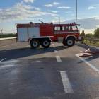 Fotka nr 2 z 17