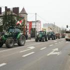 zdjęcie nr 15