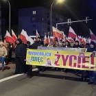 Fotka nr 3 z 37