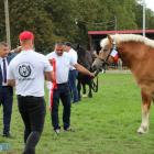 zdjęcie nr 124