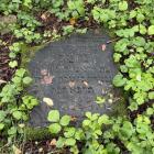 zdjęcie nr 52