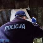Fotka nr 3 z 11