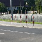 zdjęcie nr 36