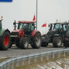 zdjęcie nr 92