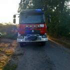 Fotka nr 1 z 6