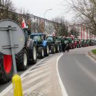 zdjęcie nr 16