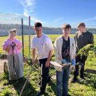 zdjęcie nr 37