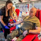 Fotka nr 4 z 5