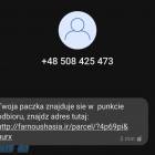 zdjęcie nr 8