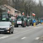 zdjęcie nr 45