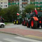 zdjęcie nr 11