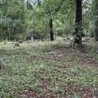 zdjęcie nr 58