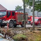 Fotka nr 3 z 21