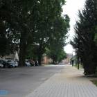 zdjęcie nr 16
