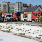 Fotka nr 4 z 14