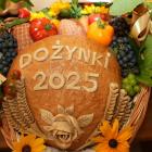 zdjęcie nr 40