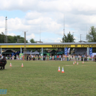 zdjęcie nr 37