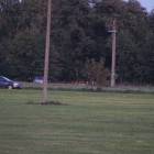 Fotka nr 2 z 7