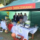 zdjęcie nr 25