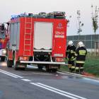 Fotka nr 3 z 12