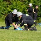 zdjęcie nr 175