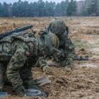 Fotka nr 5 z 8