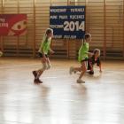 Fotka nr 5 z 133