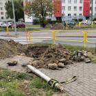 zdjęcie nr 8