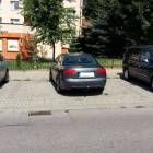 zdjęcie nr 8