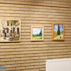 zdjęcie nr 13